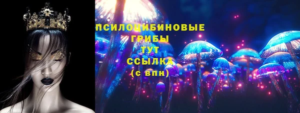 2c-b Алзамай