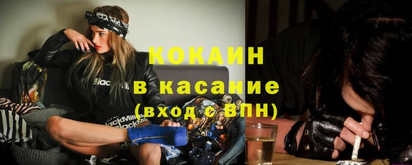 прущие грибы Михайлов