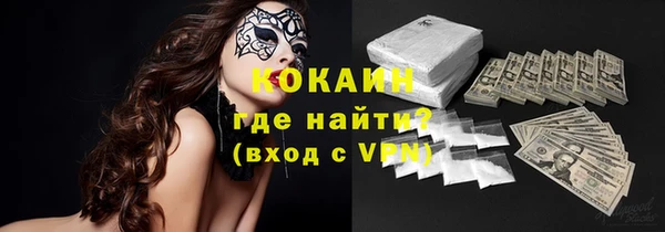 прущие грибы Михайлов