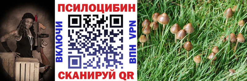 Галлюциногенные грибы GOLDEN TEACHER  Харовск 